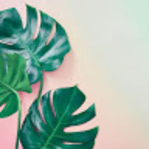 Meet your Posher, Lilly